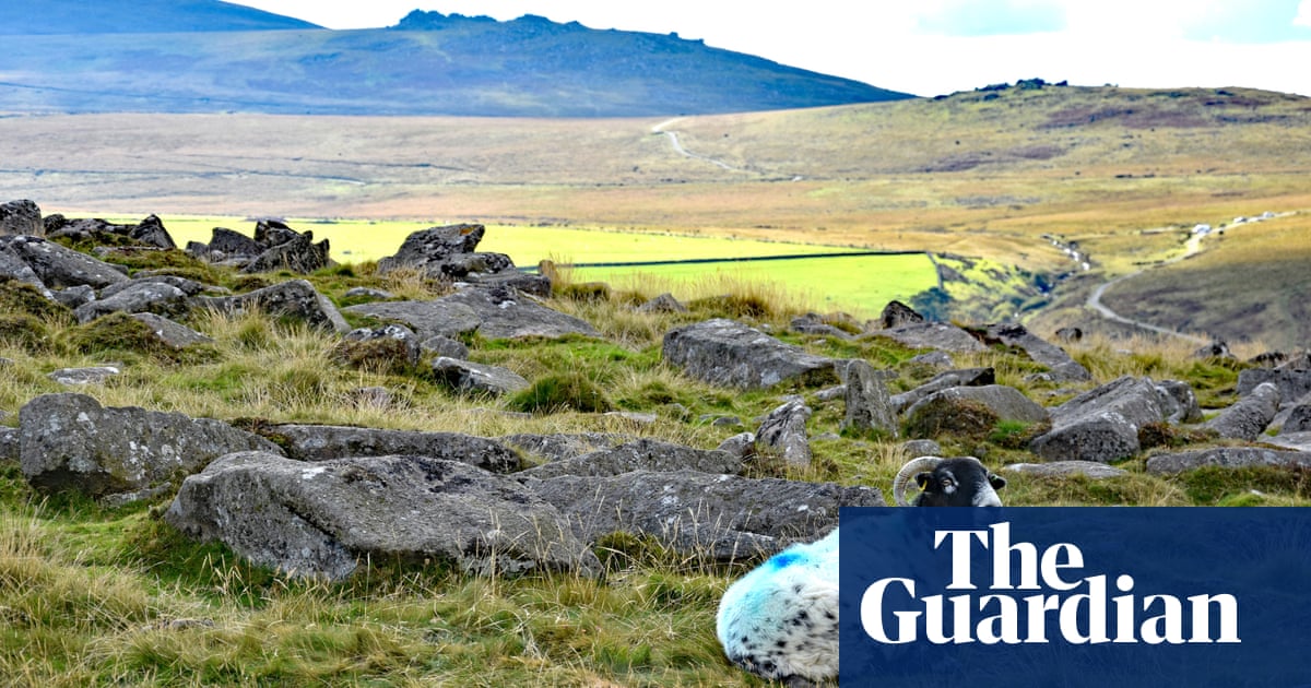 England’s farmers to be paid to rewild land