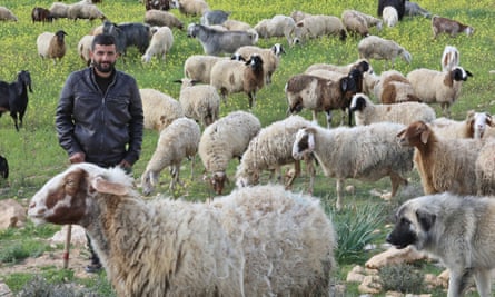 Salah Abu Awad, 28, stands with his flock on Samoah lands, in the South Hebron hills. 