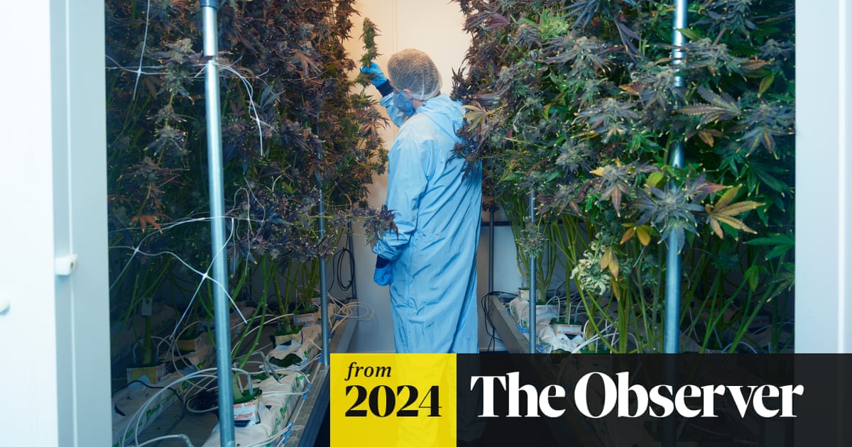 www.theguardian.com