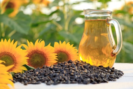 A jug of sunflower oil stands beside three sunflower heads and a pile of sunflower seeds