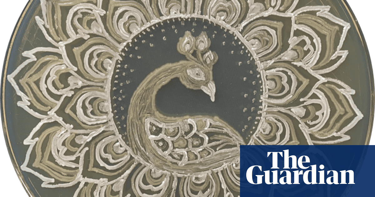 Art In A Petri Dish The Agar Art Awards In Pictures Science The Guardian