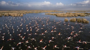 An aerial view of Akgol Reeds, one of Turkiye’s most important wetlands, is home to Anatolia’s ‘crane in blush’ flamingos, rice paddy and different bird species in Eregli district of Konya, Turkiye. Akgol Reeds, known as Konya’s bird paradise, is among the places frequented by photography enthusiasts and nature lovers.