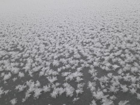 Frost flowers on the sea ice.