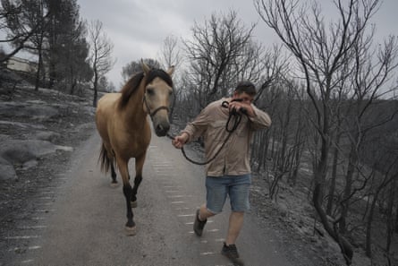 A man leads his horse down a road while covering his face from smoke fumes