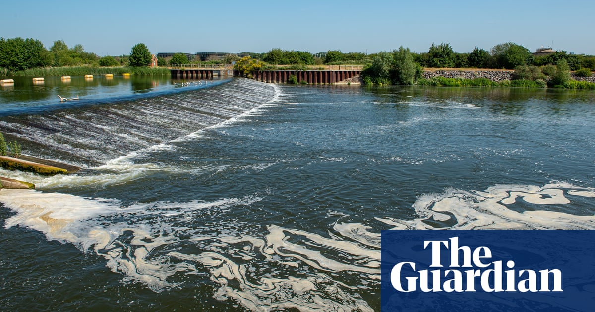 Cutting sewage spills may be far cheaper than UK ministers predict, say experts