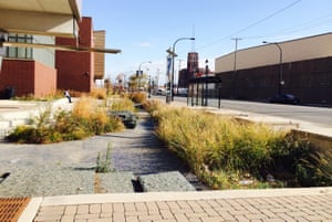 The two-mile Pilsen Sustainable Street, commissioned by the Chicago Department of Transportation to improve the urban ecosystem