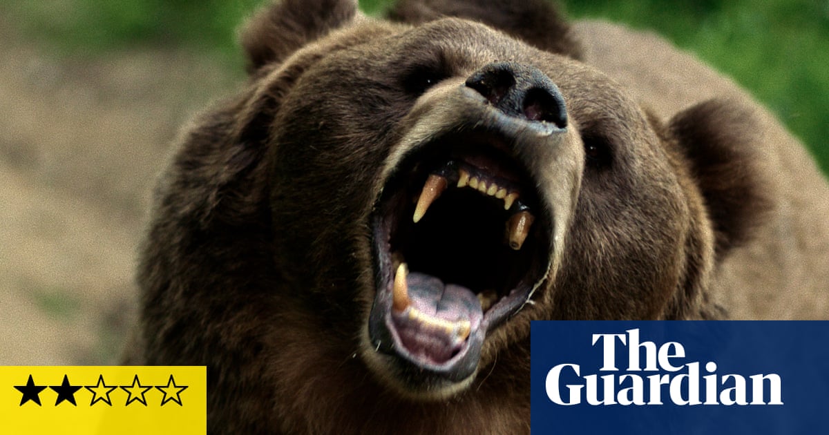 Grizzly Night review – animals attack in campsite thriller of rogue bears and wayward teens