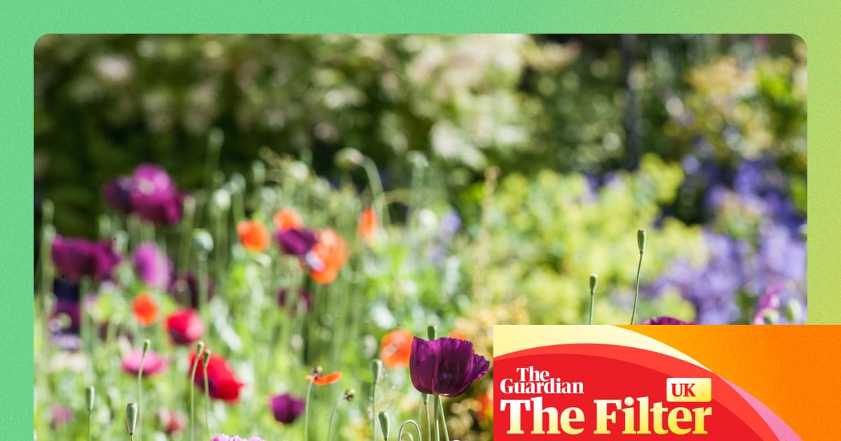 Sow, grow, don’t mow: 15 ways to get your garden ready for spring and summer