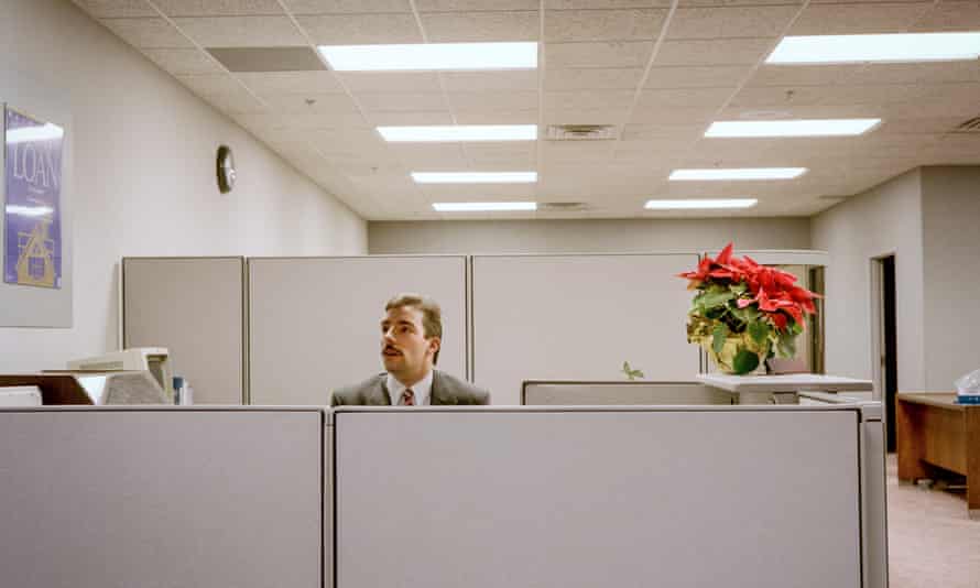 Man in a suit sitting looking over an office partition, with a red poinsettia next to him