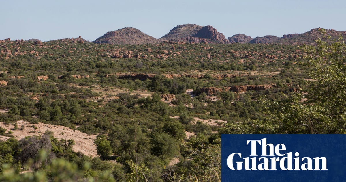 More than 5,000 people attend illegal party at Tonto national forest in Arizona