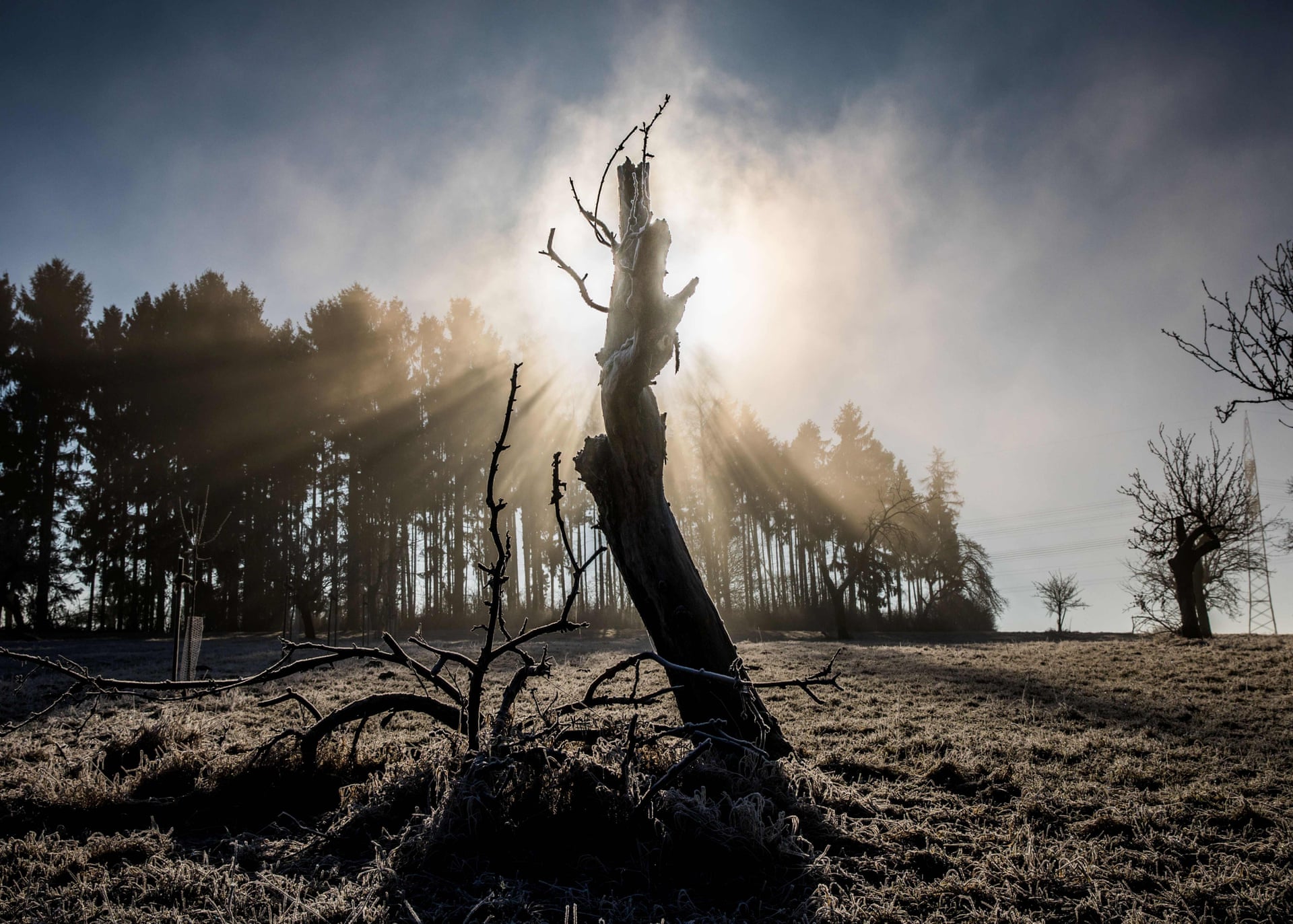 5180.jpg?w=1920&q=55&auto=format&usm=12&