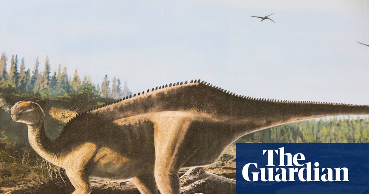 New species of dinosaur with eye-catching sail' discovered on Isle of Wight