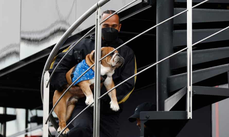 Lewis Hamilton is pictured with his dog, Roscoe.