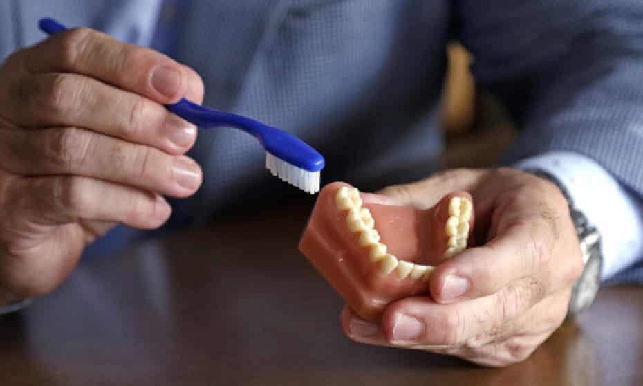 A dentist holds a model of teeth and a toothbrush.