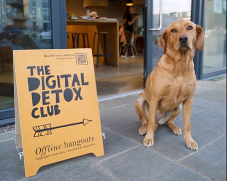 A dog sitting next to a sign for the bluc