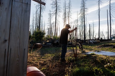 A white man backlit by what is probably the setting sun stands in a grassy yard amid dozens of burned trees, with the corner of a building in the left foreground.