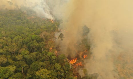 A fire burning in Porto Velho, Brazil, one of the world’s oldest and most diverse tropical ecosystems