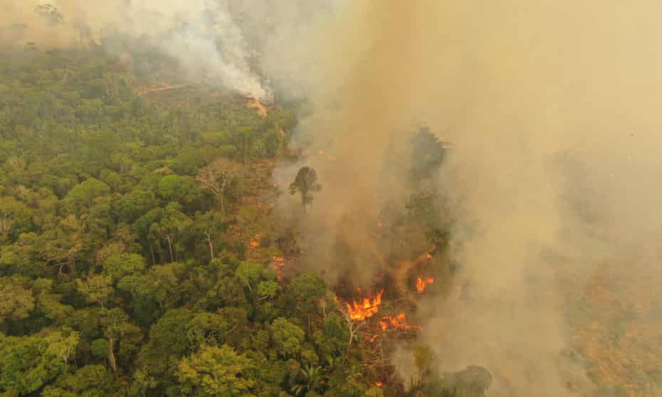 A fire burning in Porto Velho, Brazil, one of the world’s oldest and most diverse tropical ecosystems