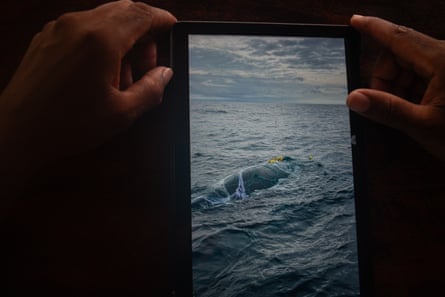 Hands hold up a photo of a whale