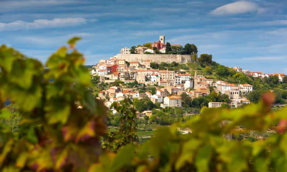 Croatia, Istria, Motovun behind vineyard