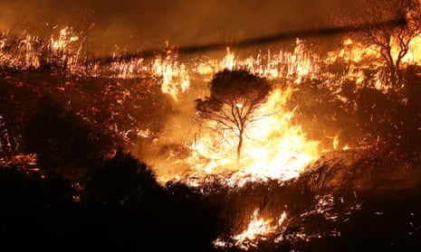 A wildfire between Trapani and Palermo in Sicily on 27 August.