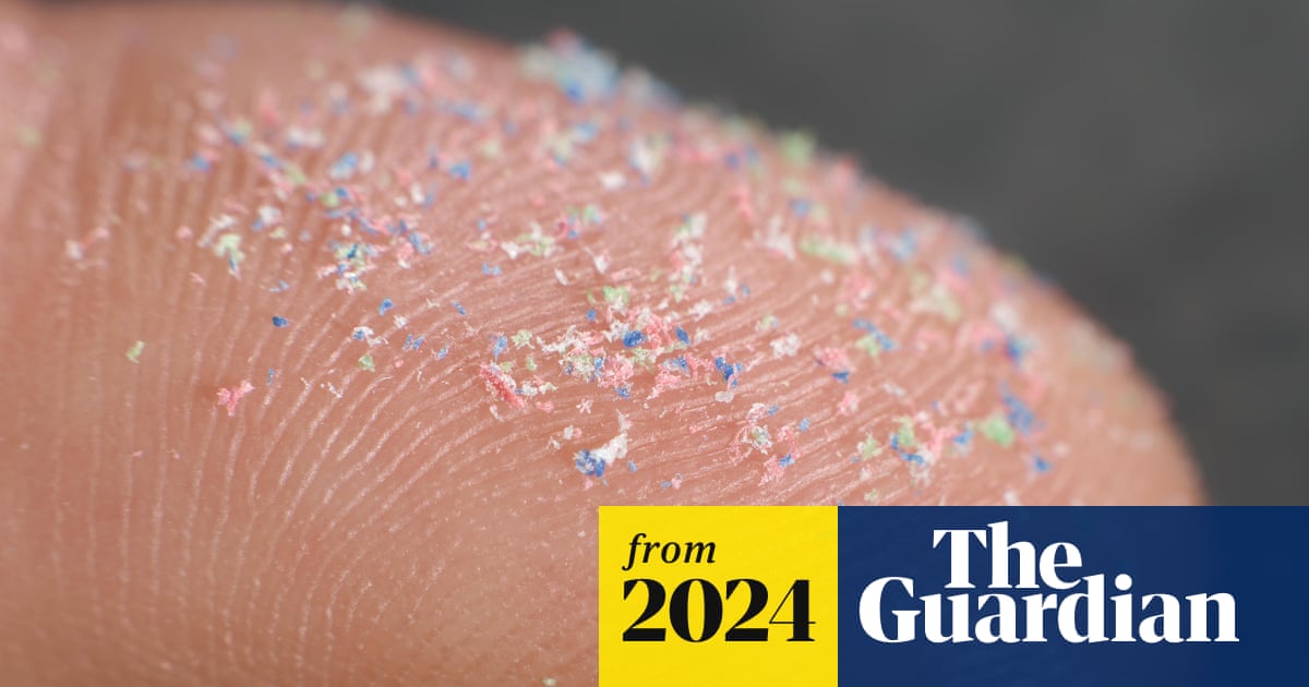 www.theguardian.com
