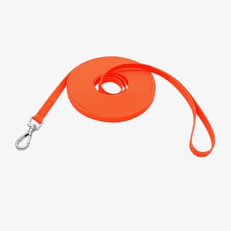 dog leash