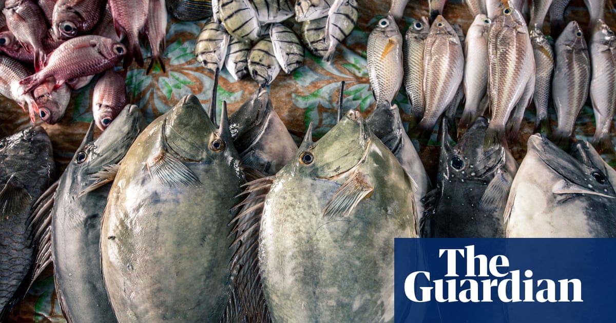 Living in Indonesia's marine protected areas - in pictures