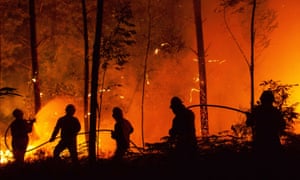 Wildfires in Portugal killed 64 people in June; the recent study explores how often and where similar weather-related disasters are likely to occur in the coming years.