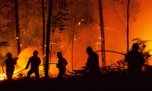 Image result for forest fire  photos