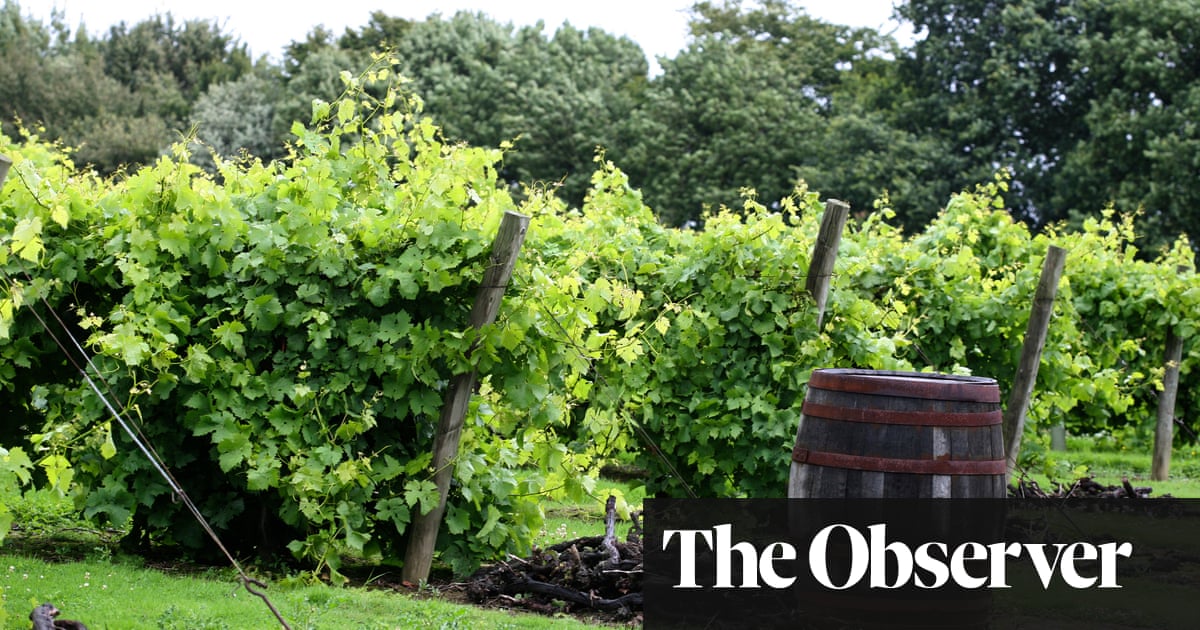 Sticky moments: great sweet wines to savour