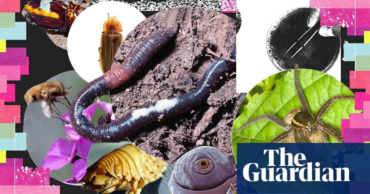 Top genome scientists to map DNA sequence of invertebrate winner 2025