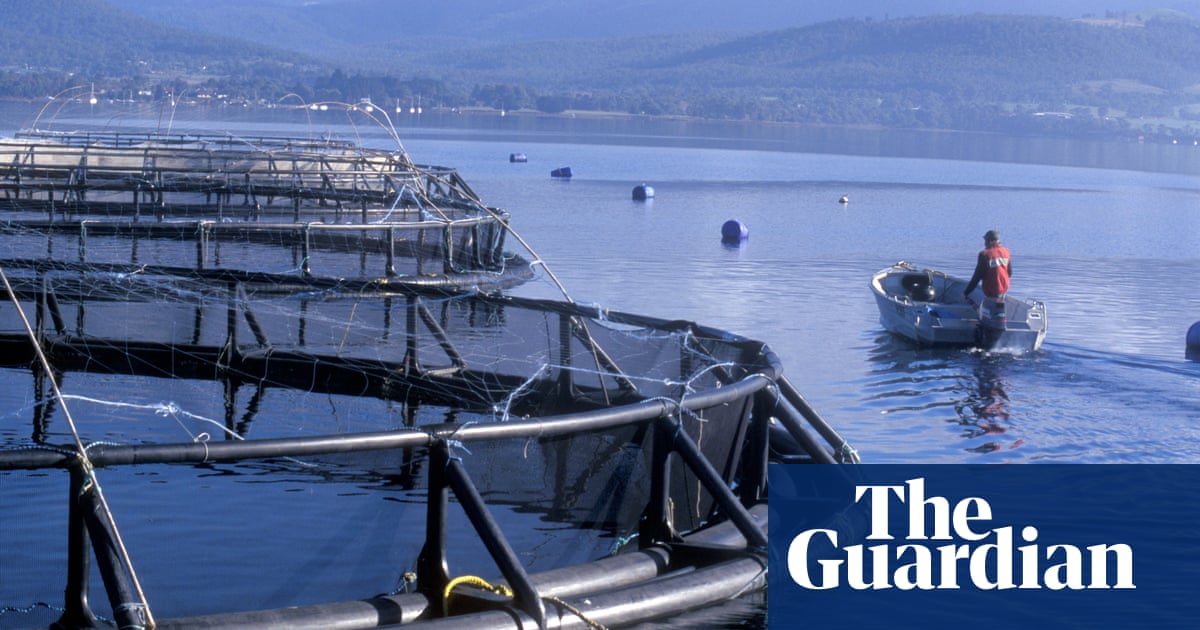Australian Senate Debates Salmon Farming Bill Amid Protests