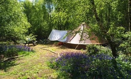 Beech Estate campsite