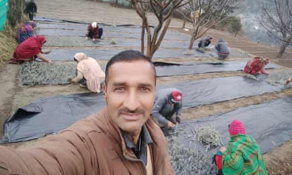 Bhushan taking selfie as women sort lavender on plastic sheets