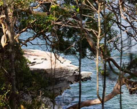 A popular jump rock where it is believed 12-year-old boy Nico Antic had jumped into Sydney Harbour from before he was bitten by a shark.