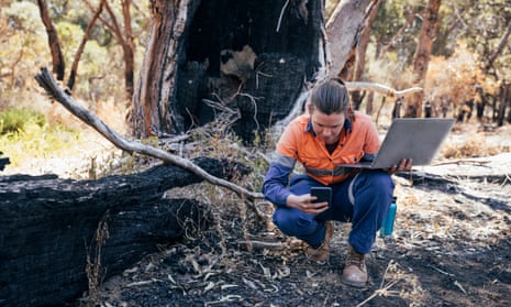 Working Hard to Help Her EnvironmentRockingham Lake regional park.Female scientific environmental conservationist working with the aid of technology to collect data. The Australian Bush has been damaged by fire.