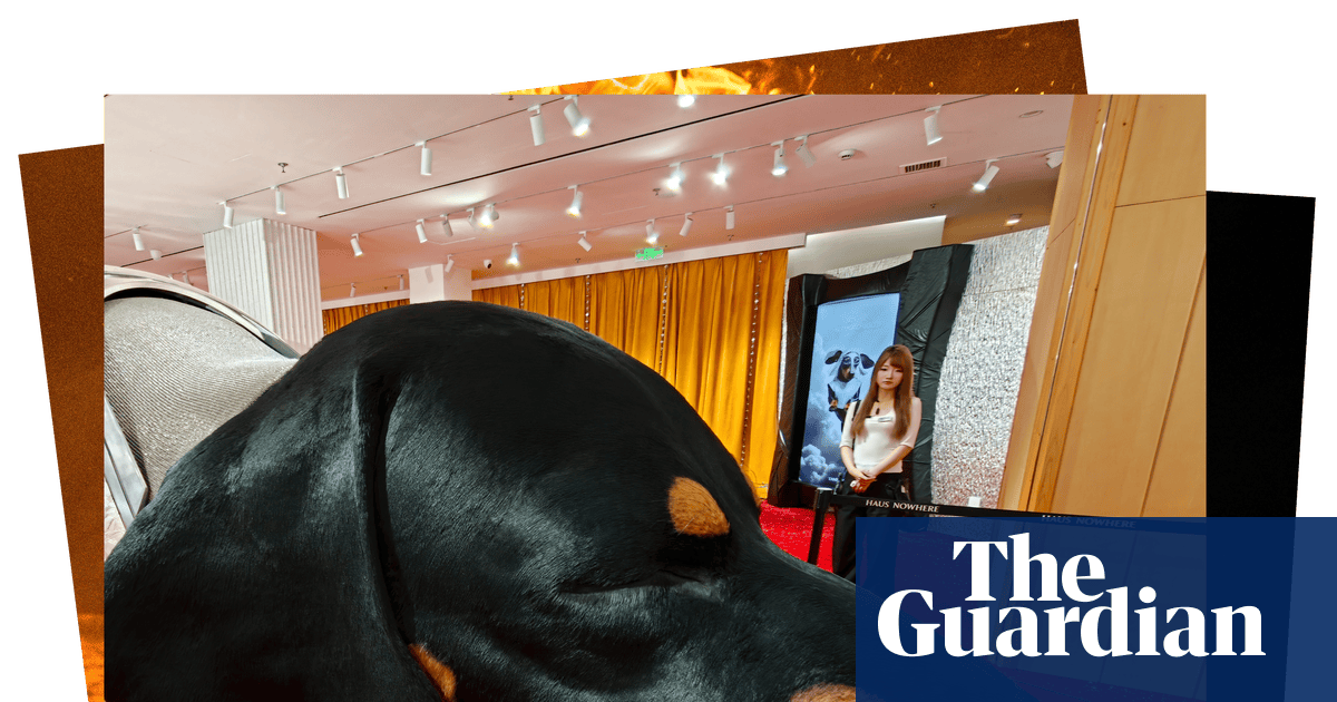 Hill sheep sales and a giant dachshund: photos of the day