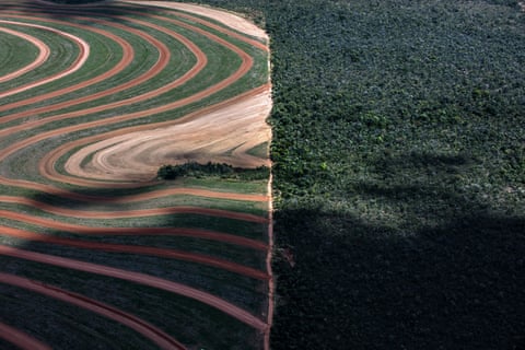 he region between the states of Maranhão, Tocantins, Piauí and Bahia is considered the showcase of Brazilian agribusiness, with a high productions of soy and corn for export.