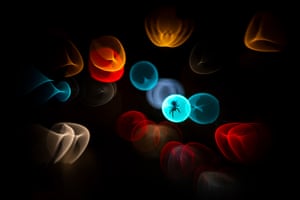 An orb weaver spider in the middle of a blue circle of light