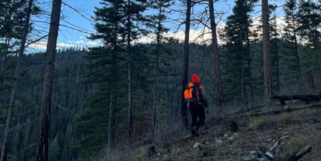 A person wearing orange hunting gear hikes uphill through a forest of tall trees, with a view of a wooded valley in the distance beneath a partly cloudy sky.