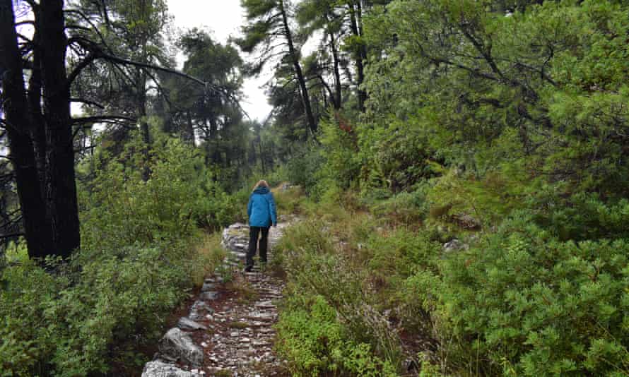 Ένα από τα πολλά αρχαία μονοπάτια που αποτελούν το μονοπάτι του αμφιβληστροειδούς