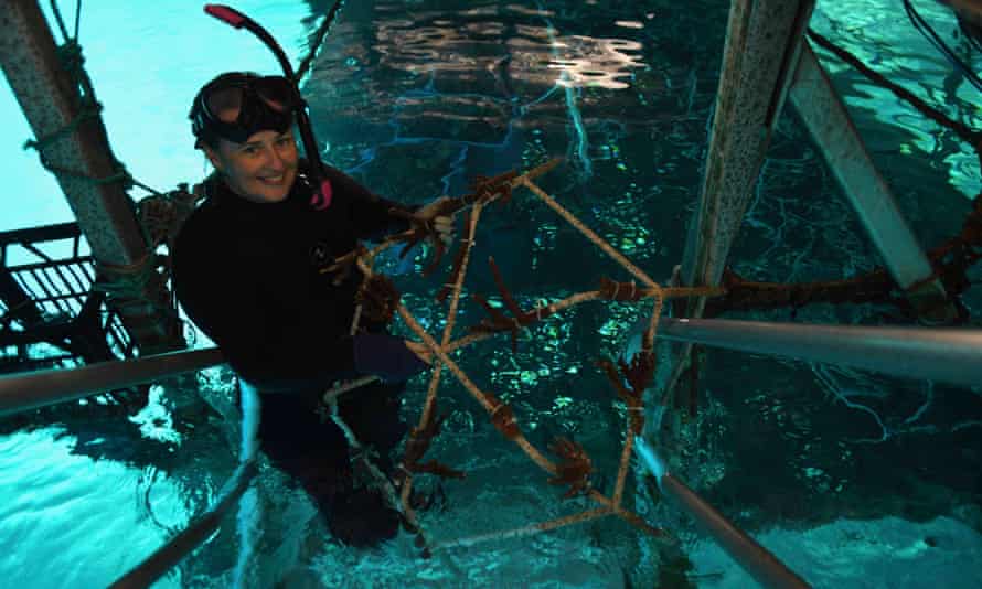 Woman in wet suit holding a Reef Star