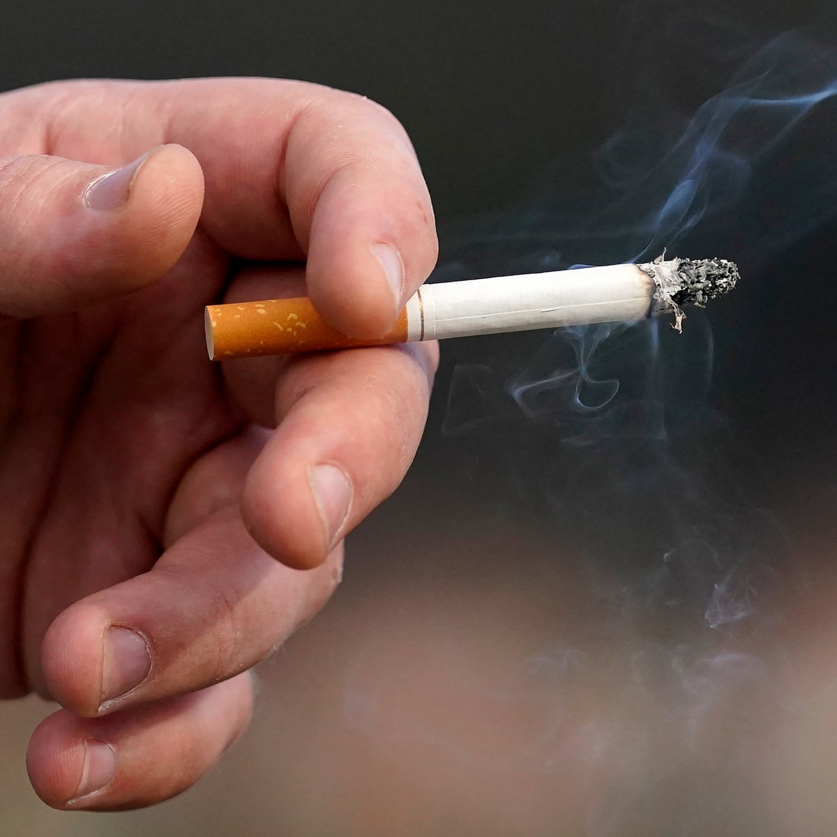 tobacco products names FDA Regulation of Tobacco Products tobacco products names FDA Regulation of Tobacco Products