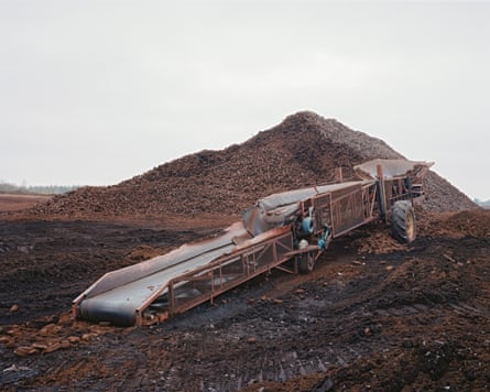Mechanical hopper and conveyor belt for loading turf for horticultural use by private contractor, County Offaly, 2020.