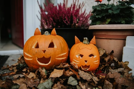 Two pumpkkins carved into Halloween lanterns in the shape of cat faces sit outside a doorway