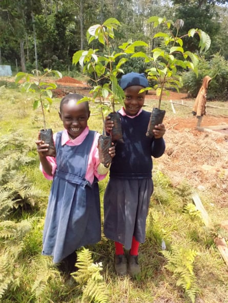 A reforestation project in Kenya by the International Tree Foundation.