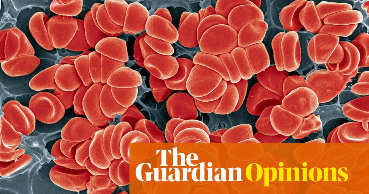 Could microclots help explain the mystery of Long Covid? | Resia Pretorius