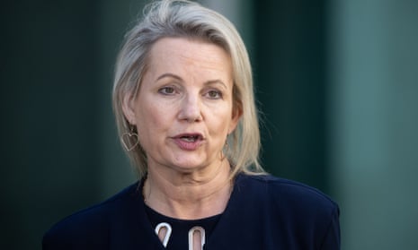 Deputy opposition leader Sussan Ley.