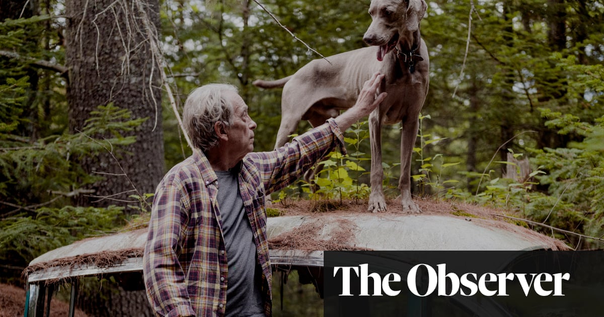 William Wegman: ‘Weimaraners are serious and try hard. They’re spooky and shadowy’